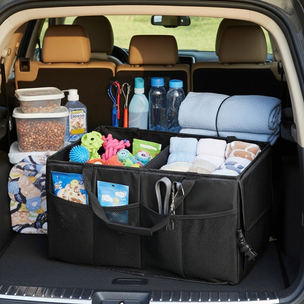 Pet Travel