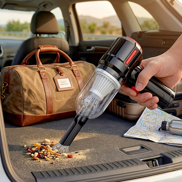 Travel Cleanup